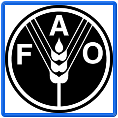 Αύξηση 1,1% το Φλεβάρη στο δείκτη τιμών τροφίμων FAO 