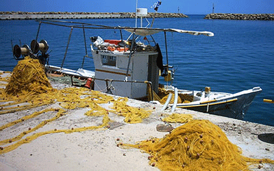 Ως 27 Ιανουαρίου αιτήσεις για άδεια αλιείας με γρι γρι στην Κύπρο 