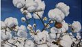 BASF-Cotton-Painting-June2020-Web