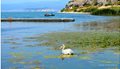 Prespa-DSC_0420