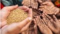 view-make-food-systems-more-inclusive-to-change-the-state-of-food-insecurity-