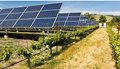 agrotika-fotovoltaika-ETHEAS