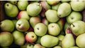 benefits-of-pears-1296x728-feature