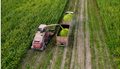 harvesting-corn-from-the-field-using-a-combine-harvester-photo