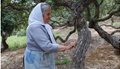 Στιγμιοτυπο_οθονης_2023-05-24_140027