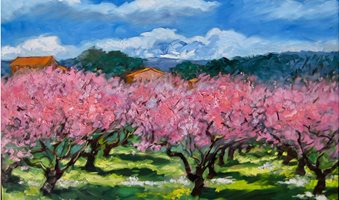 37_18_Peach_Tree_orchard_Provence_master