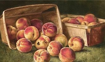 Basket-of-Peaches-August-Laux-oil-painting__1_