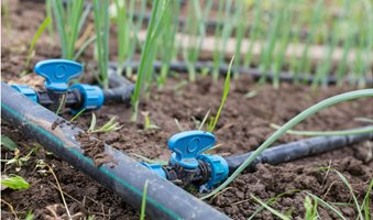 Components-and-types-of-drip-irrigation