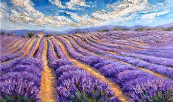 Cultivating_Aromas_20x30_palette_knife_oil_painting_lavender_field_niki_gulley_3