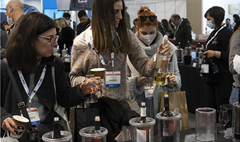 DSC00194-540-393