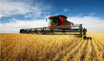 Harvesting_sof_wheat