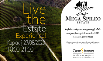 Mega_Spileo_Estate___Oinoxenia_2023