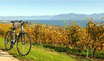 Winetasting-Lake-Geneva-7-1280x720
