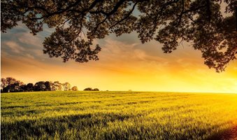 agriculture-clouds-cropland-crops-461960