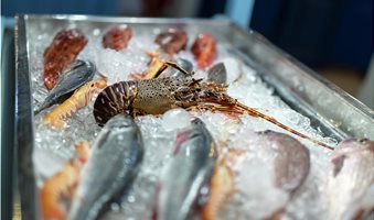 fresh-and-raw-seefood-on-ice-for-sale-krasimir-kanchev