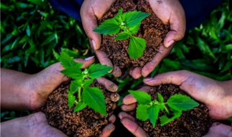 people-hands-cupping-plant-nurture-environmental-scaled-e1664447204740-500x383