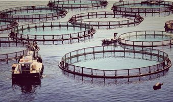 aquaculturele