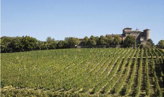 france-nouvelle-aquitaine-department-gironde-bordeaux-wine-region-vineyards-and-chateau-lacaussade-GWF06346