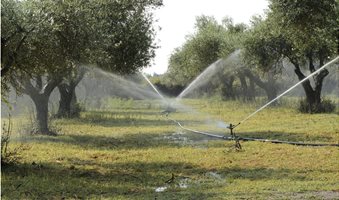 irrigation-of-olive-1622881-1536x1018_4