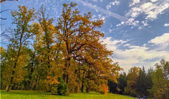 istockphoto-1059589140-612x612