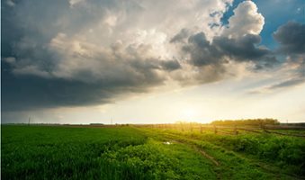 istockphoto-688447854-612x612