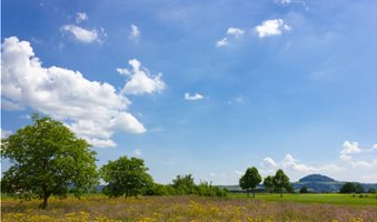 istockphoto-974684204-612x612