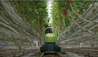 tomatoes-are-in-good-hands-with-this-first-of-its-kind-leaf-cutting-autonomous-robot-171449_1