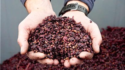 Red-Grape-Marc-scaled-1