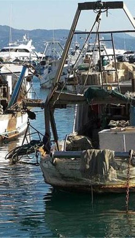 sovara-provlimata-gia-toys-thrakiotes-alieis-logo-fytoplagkton_2