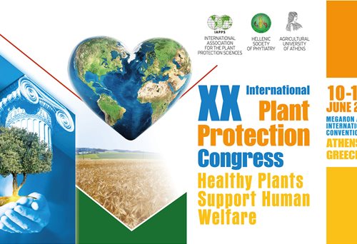 home-banner-wide__1_