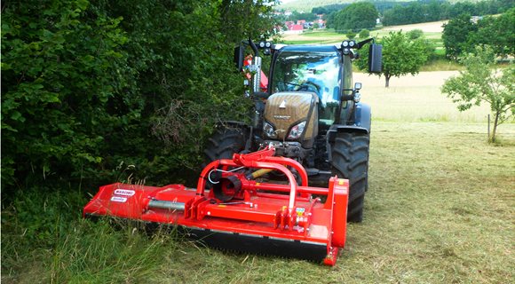 20140624bisontew0001