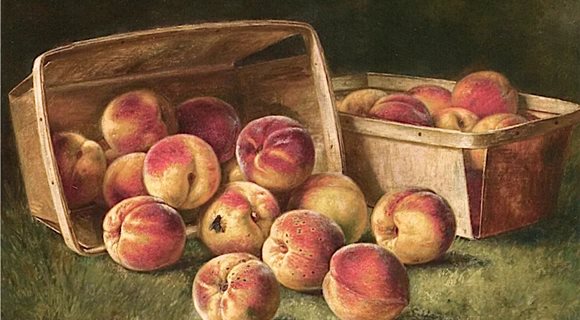 Basket-of-Peaches-August-Laux-oil-painting