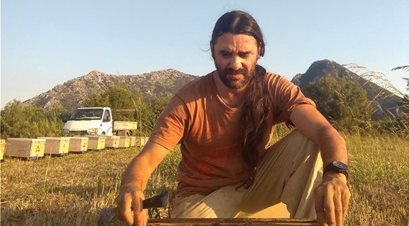 Bee-thoven-Dimitris-Nikolaou