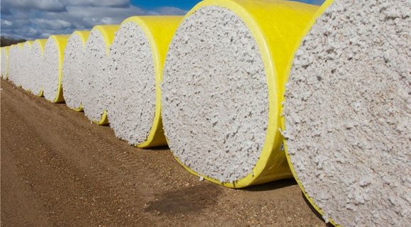 Cotton-BALES
