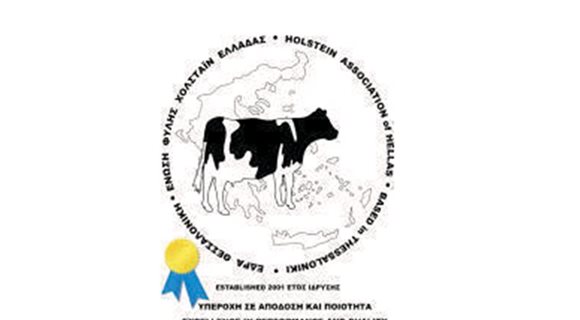 Holstein-new_2