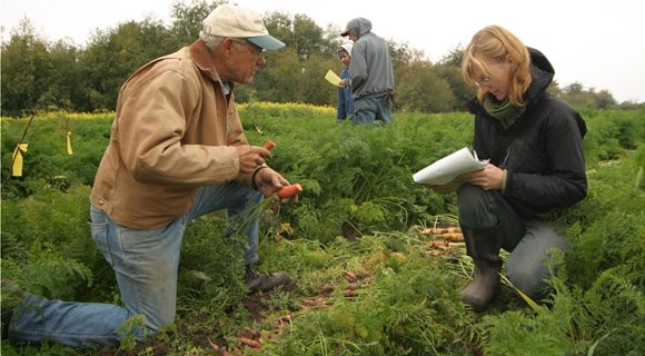 Mic_Nash_Carrot_Trial-cropped