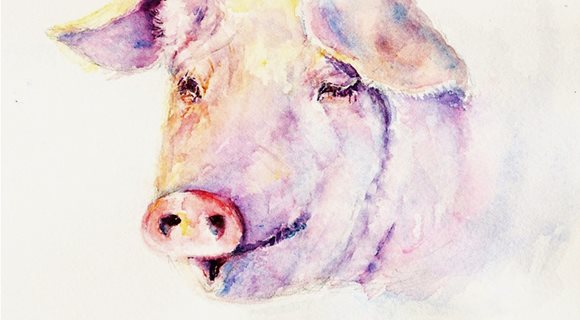 Pig122714-1024x820