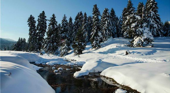 Travel_ElatiPertouli24