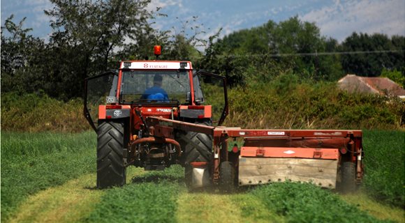 16002807_EV_THK_TRIKALA_AGROTIKES_KALLIERGEIES13