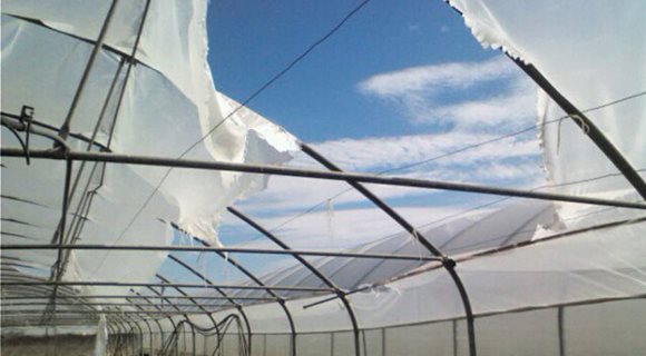 8107_thermokipia-zimies-ena_0_850