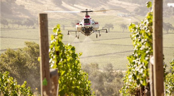 drone-sprays-wine-grapes-in-napa-valley