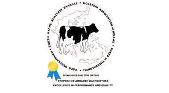 Holstein-new_3