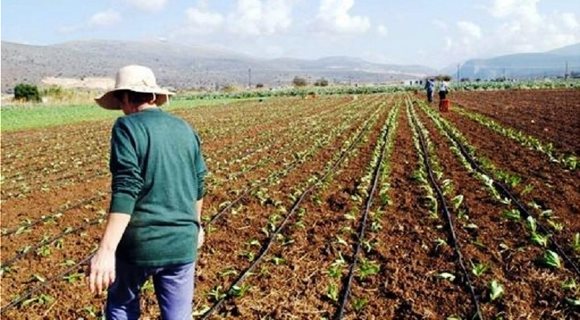 agrotissa