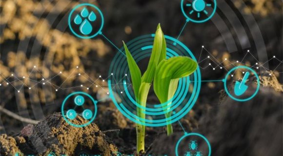 d0f5b6ed-4251-466c-a5a7-50766409bb4b_virtuele_plant_shutterstock_747576208_93a03674_586x394
