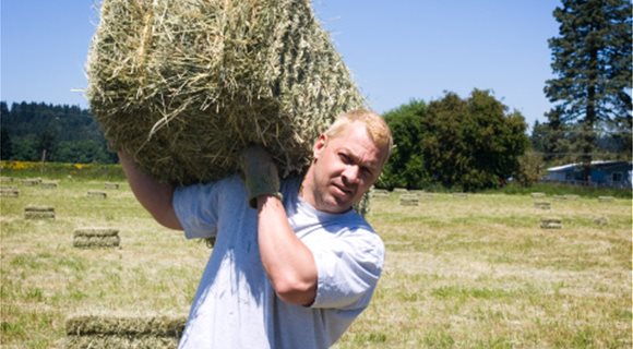 istockphoto-149066981-170667a