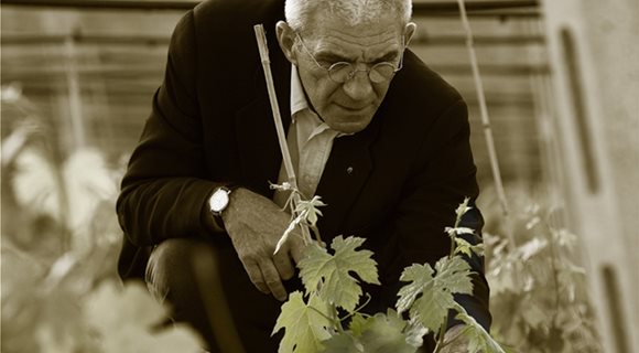 kirgia-00075a