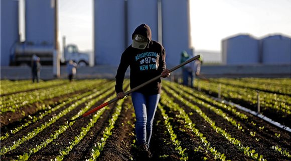 la-fi-farm-mechanization-photos-005_2