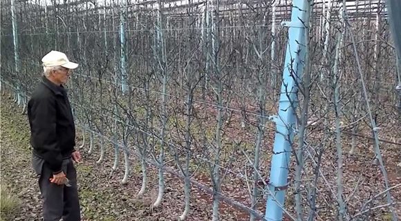 maxresdefault_22_2_2