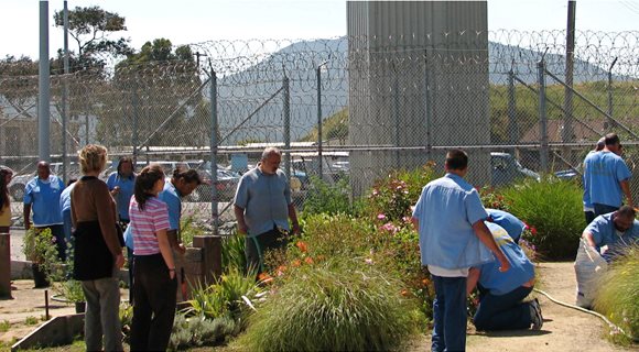 prisongarden