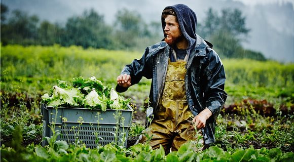 wetfarmer_compress